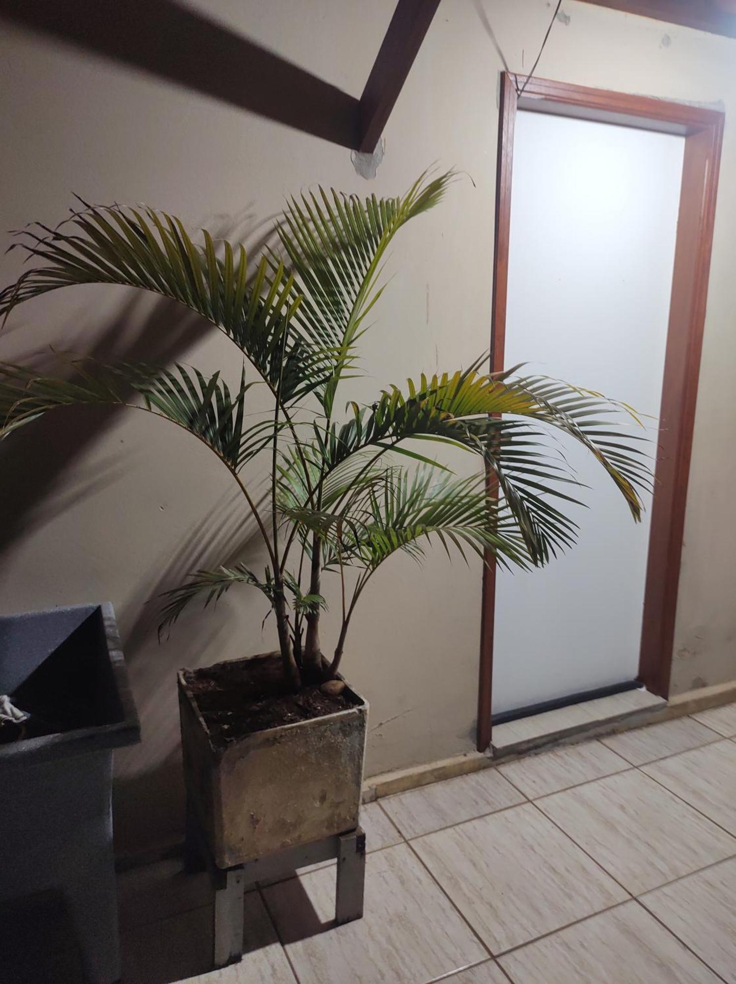 Quarto Confortavel Com Garagem オランブラ エクステリア 写真